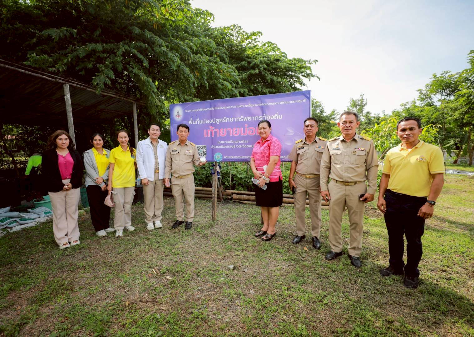 การอนุรักษ์ภูมิปัญญาและการใช้ประโยชน์จากต้นท้าวยายม่อม (Thahiti arrowroot)